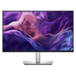 Dell P2425H, 24'', IPS, 100 Hz, h&otilde;be - Monitor
