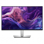 Dell P2425H, 24'', IPS, 100 Hz, h&otilde;be - Monitor