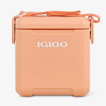 K&uuml;lmakast Igloo Tag Along Too Cooler, 10 L, oranž