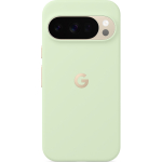 Google Pixel 10 / 10 Pro Pixelsnap Case, roheline - &Uuml;mbris