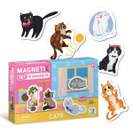 Magnetiline pusle Kassid