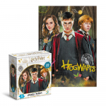 Arendav pusle Medium-S Harry Potter Harry and friends 250 pcs