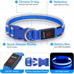 LED helendav kaelarihm koertele - 3 režiimi - suurus M - veekindel