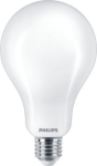 LED bulb 23W (200W) E27 A95 865 FR ND G CorePro 929002373102 | 8719514346710