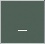 Color: Comodoro Cover plate for timer switch code: 8162 & 8162.1 2CLA856200A1901 | 8427238227184