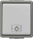 Pushbutton, 66x75mm, with lamp, 10A 250V, IP44, grey, DELTA flache 5TD4705 | 4001869040578