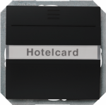 Key card switch, illuminated, 55x55mm, soft black, DELTA i-system 5TG4820-0SB | 4001869583808
