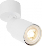 Ceiling-/wall luminaire 1008286 | 4024163294409