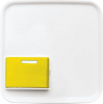 As cover for cancel button with LED telltale lamp. With yellow cancel button. As alternative to Ackermann covers 88881 M3 and 88881 M3N. 2CKA001724A2720 | 4011395003558