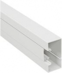 Trunking 45 100x50 2M 638030 | 3245066380308
