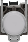 Complete pilot light, Harmony XB4 - ATEX D,  22mm, IP65, white, integral LED, 24V, lugs XB4BVB1EX | 3389118030916