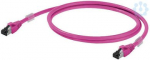 IE-C6FP8LM0100M40M40-M 1201270100 | 4032248984626