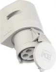 Wall mounted socket 4x32A (3P+PE) 1h IP44, white 124-1 | 9003399021770