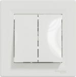 Switch, double, 1-pole, with frame, white, Asfora EPH1100121 | 3606480525490