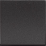 CLASSIA - pushbutton 1P NO 10A 2m black BT-RG4005M2P | 8005543704400