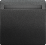 Key card switch, illuminated, with label field, Anthracite Cosso, DELTA style 5TG4830-0AC | 4001869554761