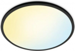 Ceiling luminaire SuperSlim WiZ, 22W, RD 2700-6500K TW, 2450Lm, IP20, black 929003226801 | 8719514554955