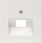 Cover plate UAE for computer outlet, titanium-white, Delta I-System 5TG2545 | 4001869268071