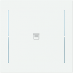 Labeling field with blind icon for keypad 1-4-fold (KK/U4.70.xx).   Available for the design ranges:   - Busch-art linear   - Alba 2CKA006199A0456 | 4011395338650