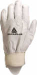 GOASTSKIN GRAIN GLOVE 8 51FEDF08 | 3295249027858