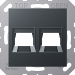 centre plate for MJ f. 2 sockets A1569-2WEANM | 4011377177499
