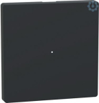 Rocker for 1-gang push-button modul e, anthracite, System Design MEG5210-6034 | 4042811200442