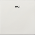 1-gang rocker with key symbol, 68x68mm, platinum metallic, DELTA style 5TG7148-1 | 4001869382838