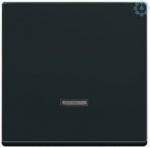 Control element/cover plate for domestic switching devices 2CKA006599A2881 | 4011395056240