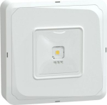 Emergency luminaire, Exiway Smartbeam Control, surface, 5lux, 190lm, IP65, white OVA46028 | 3606489729981