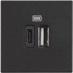 5 Vdc USB charger TYPE A and C BT-RG4287C2 | 8005543632550