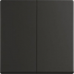6736 FoH-885 FoH control element 2gang 2CKA006730A0141 | 4011395275153