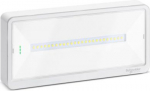 Emergency luminaire, Exiway Light, up to 100 lm, IP65, LED OVA44011 | 3606481918062