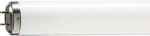 TL 6W/10 ACTINIC BL Fluorescent lamp 928000501030 | 8711500260390