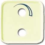 As cover for radio installation with small audio system. Suitable for Ackermann insert nos. 73120 H, 73120 H1 and 73120 C. 2CKA001753A2124 | 4011395147504