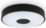 Ceiling luminaire Coiner, 24W, 2700K, 2700lm, black 929004115601 | 8720169301290