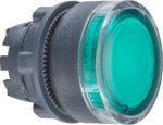 Head for illuminated push button, Harmony XB5, plastic, flush, green, 22mm, spring return, plain len ZB5AW33 | 3389110909937