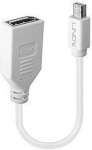 ADAPTER MINI DP TO DP/0.2M 41021 LINDY 41021 | 4002888410212
