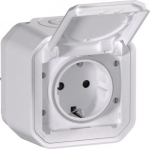 Socket outlet with cover, 2P+E, IP55, with screw terminals, white, Plexo 069771L | 3414971882676