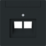 Cover plate with labelling field Data connection 2 gang black matt - Busch-art linear 2CKA001710A4234 | 4011395328354