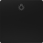 1-gang rocker with light symbol, 55x55mm, soft black, DELTA i-system 5TG6201-0SB20 | 4001869583884