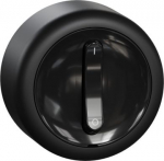 Surface Switch, black, Renova WDE015907 | 3606489504656