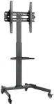 Gembird TV floor stand with caster wheels (tilt), 32" - 55" | Gembird TVS-55T-01 | 8716309135030