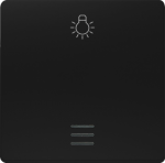 1-gang rocker with light symbol, with window, 55x55mm, soft black, DELTA i-system 5TG6201-0SB21 | 4001869583891