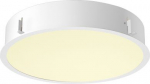 Pendant luminaire 1008631 | 4024163297684