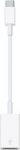 Apple | USB-C to USB Adapter MW5L3ZM/A | 195949396793