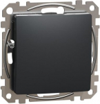 Blind cover, anthracite Sedna Design SDD114904 | 3606481480309