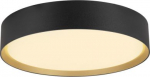 Ceiling-/wall luminaire 1008580 | 4024163298193