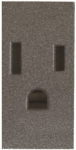 Color: Anthracite.   Rated voltage: 125 Vac   Rated current: 15A   Type B: 2P + E / NEMA 5-15R   Shuttered for child safety   Screw terminals   Size: 1 module. 2CLA212800N1801 | 8427238077536