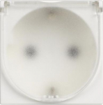 German standard socket 2P+E 16A 250 Vac with IP20 flap BT-RW4141C | 8005543633137