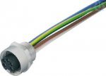 SAIE-7/8B-4-0.2U-PG11 1292430000 | 4050118088380